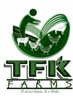 Tajudeen Imam, Tfk Farms
